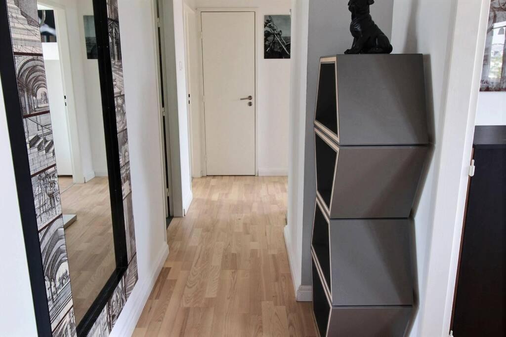 3 Pieces En Plein Centre De Strasbourg Apartment Luaran gambar